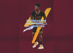 华体会官网|尼克斯瞄准持球与防守兼备球员，Amico透露球队引援新策略