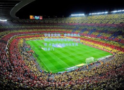 华体会官网：世界级教头格拉斯纳领跑曼联帅位竞逐 水晶宫主帅或执掌英超豪门